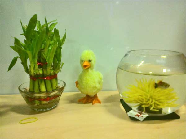 ഒറ്റത്തണ്ടും ഇരട്ടത്തണ്ടും 