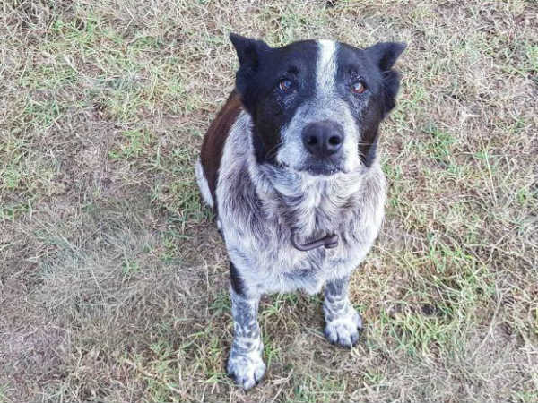 വഴിതെറ്റി അലഞ്ഞു