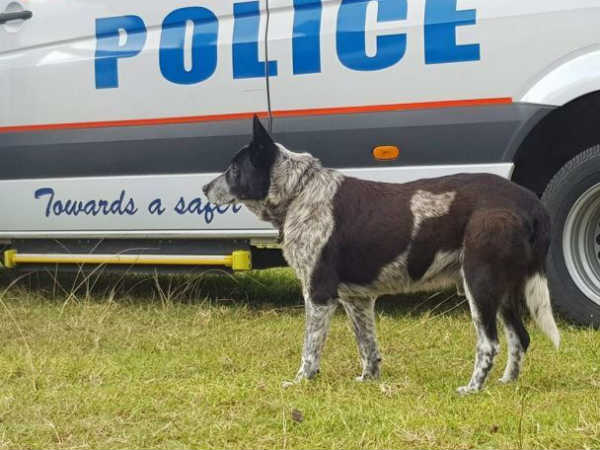 അപകടം പിടിച്ച സ്ഥലം