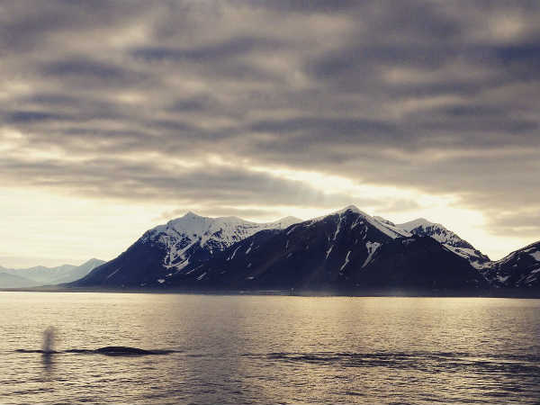 ജോണ്‍ ലോംഗ്യര്‍