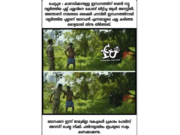 പുല്ല് തിന്നാലും കേസ്