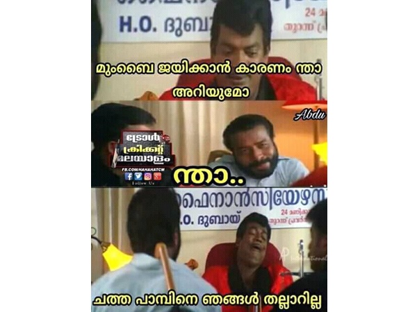 ചത്ത പാമ്പ്! ചത്ത പാമ്പ്!