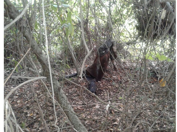 ആത്മഹത്യയോ കൊലപാതകമോ