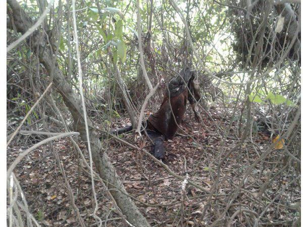 ആ കോട്ട് ആരുടേത്?