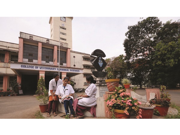 veterinary college veterinary college