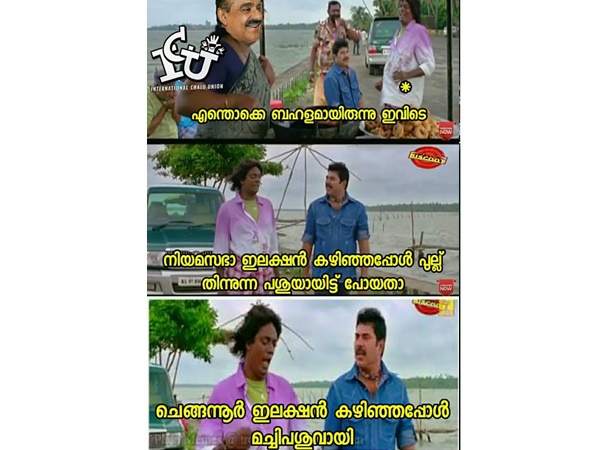 പുല്ല് തിന്നുന്ന പശു!!!