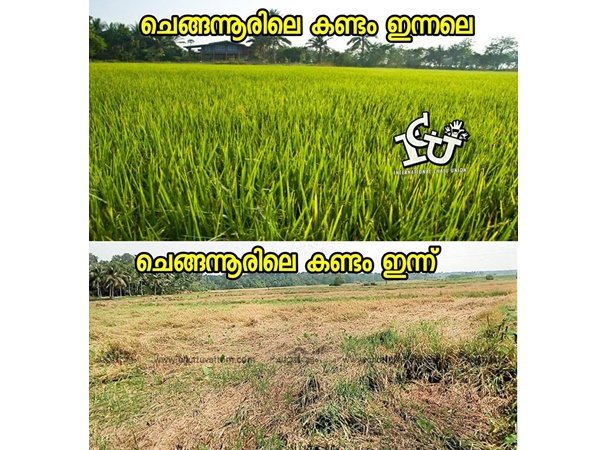 കണ്ടത്തിന്റെ അവസ്ഥ