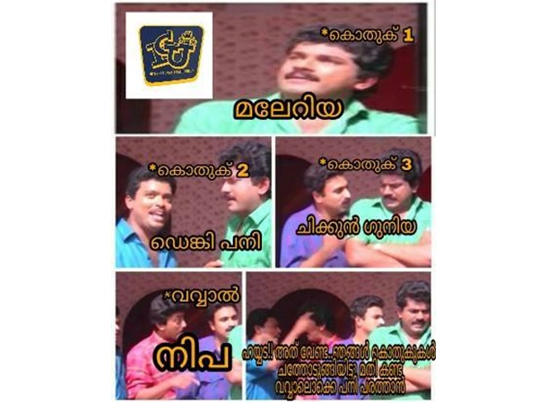 കൊതുകുകളുടെ ലോകം