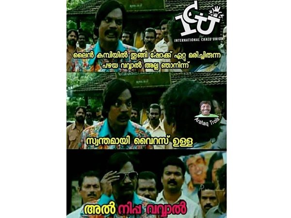 അല്‍ നിപ്പ വവ്വാല്‍
