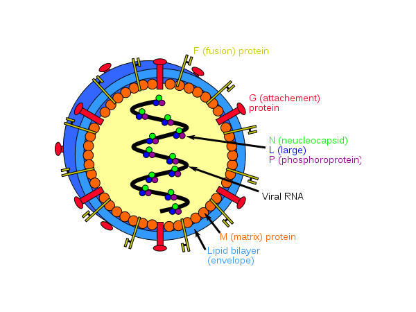 ഒടുവില്‍ കണ്ടെത്തി