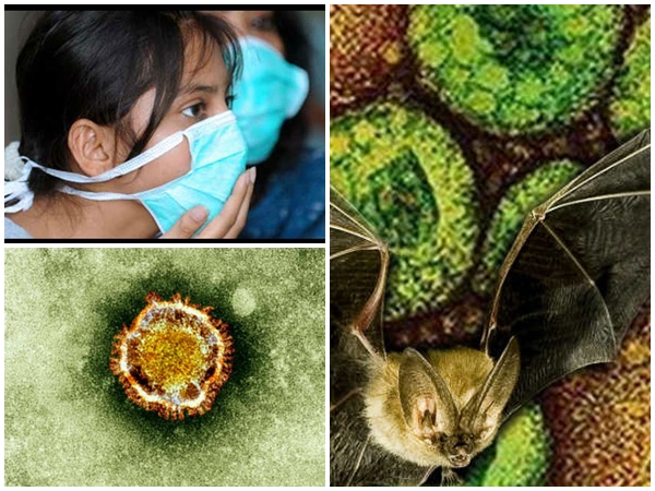 N 95 മാസ്ക് 