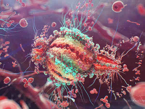 ഇതുവരെ മരിച്ചവര്‍