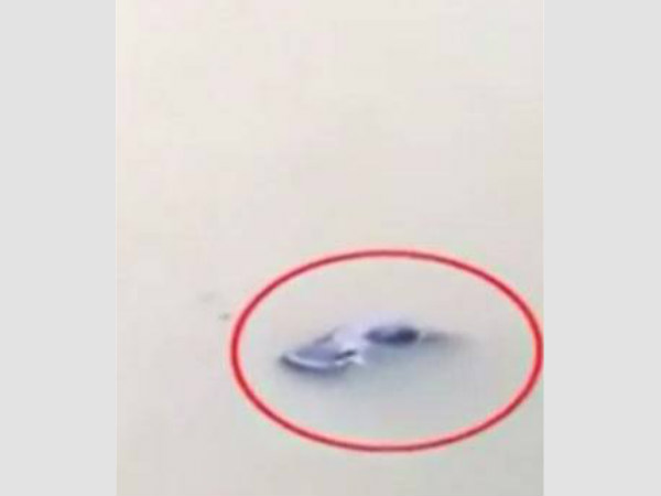 ഉരുണ്ട് പുഴയിലേക്ക് 