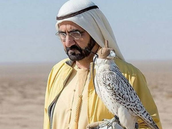 സെപ്ഷ്യലിസ്റ്റുകള്‍ക്ക് പത്ത് വര്‍ഷം