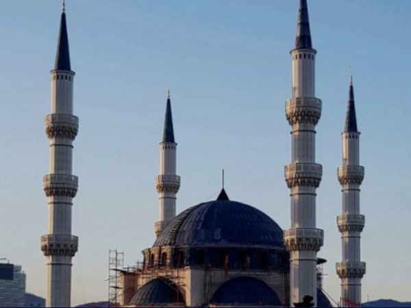  ഓടിരക്ഷപ്പെട്ടു...