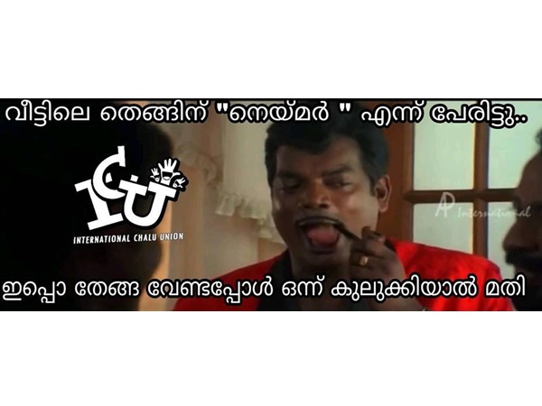 തെങ്ങിന് വരെ തെങ്ങിന് വരെ