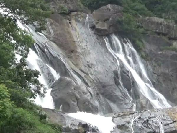 ഈട്ടിതോപ്പു വഴി...