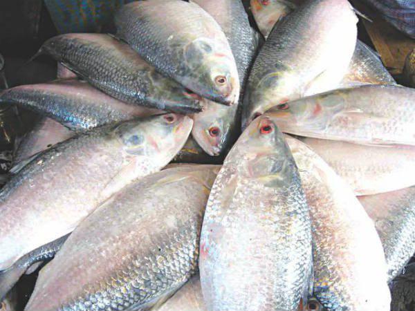 റിപ്പോര്ട്ട് റിപ്പോര്ട്ട്