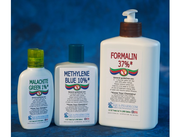 18 ദിവസം വരെ 