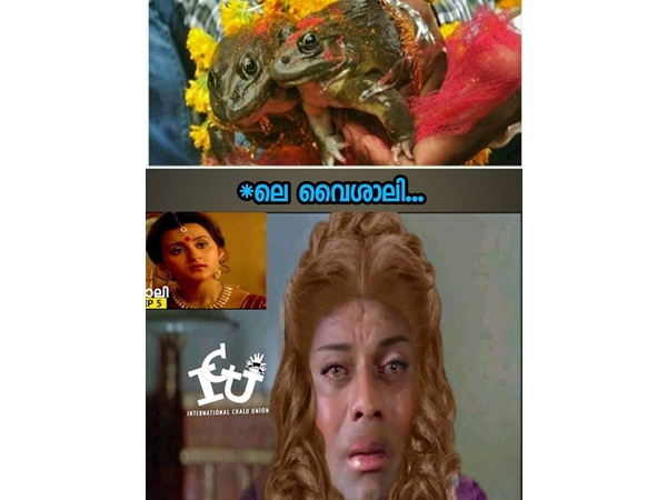 പാവം വൈശാലി