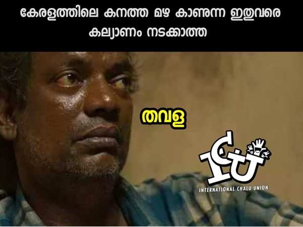 പാവം കേരള തവള