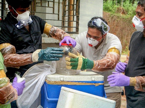 തിളക്കമാർന്ന വിജയം