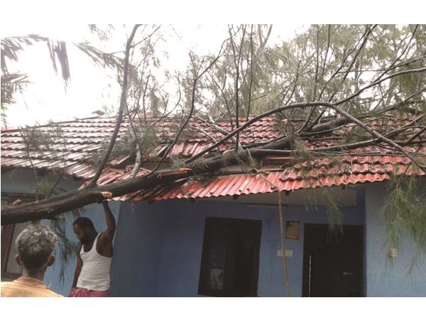  ചാവക്കാട്ട് മിന്നല്‍ ചുഴലി