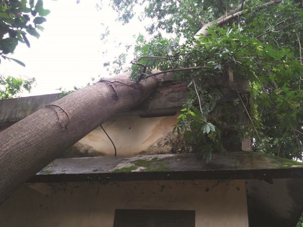 യാത്രക്കാര്‍ രക്ഷപ്പെട്ടു 