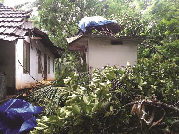  മരം ഒടിഞ്ഞ് വീണു 