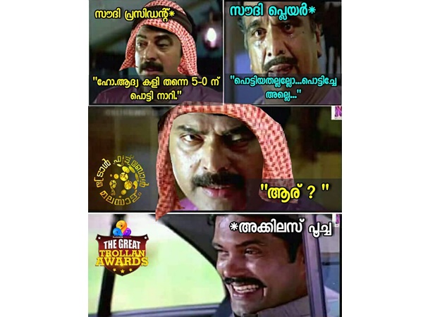 അക്കിലസ് പൂച്ച