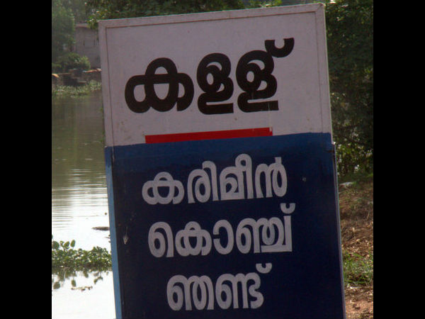 കോഴിക്കോടും