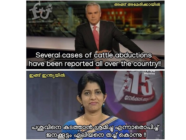 പശു! പശു!