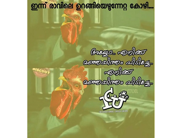 മഞ്ഞപ്പിത്തം പിടിച്ചോ...