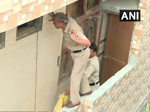  വേരുകൾ പോലെ