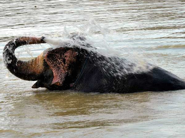 ദിനചര്യ
