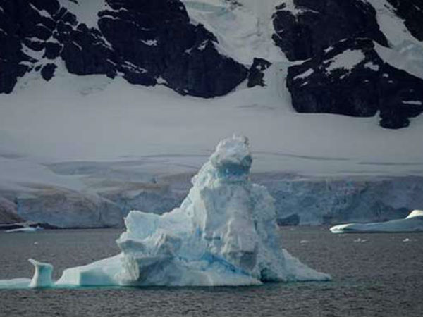 മുറിച്ചെടുത്ത് യുഎഇയിലേക്ക്