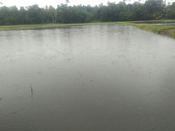 Kuttanad