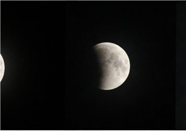 കോഴിക്കോട്