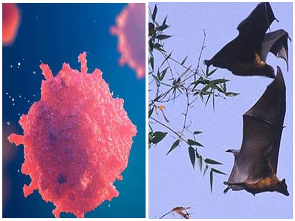 രണ്ടാം ഘട്ടം