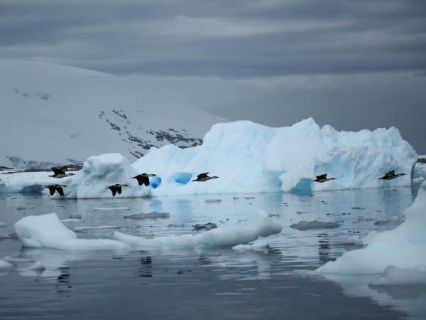 മഴ ലഭിക്കും