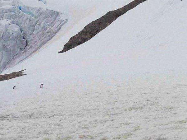 ഏറ്റവും ശുദ്ധമായ വെള്ളം