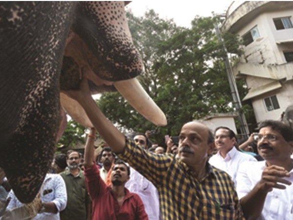 ചികിത്സ