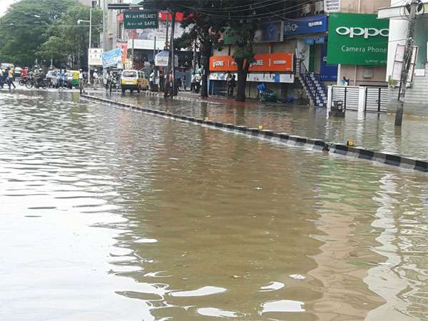 വ്യാപക കൃഷിനാശം