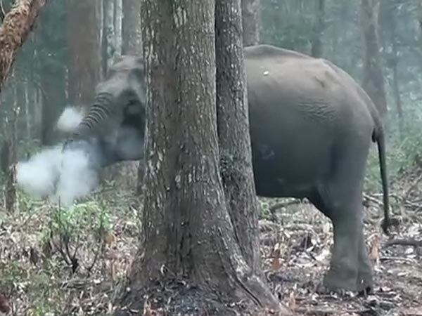 ആള്‍ നാശമുണ്ടായാല്‍ 10 ലക്ഷം