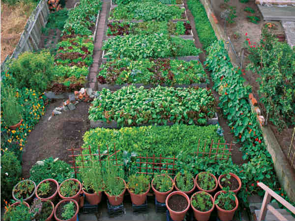 മാലിന്യം വളമാകും