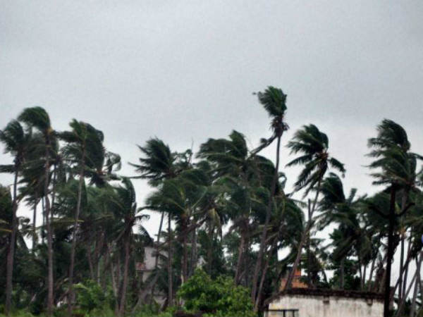  മലയോരത്ത് ചുഴലിക്കാറ്റ്
