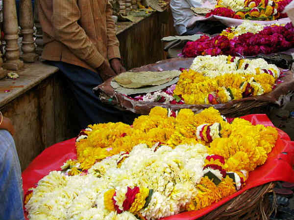 പൂക്കൾ എത്തിത്തുടങ്ങി