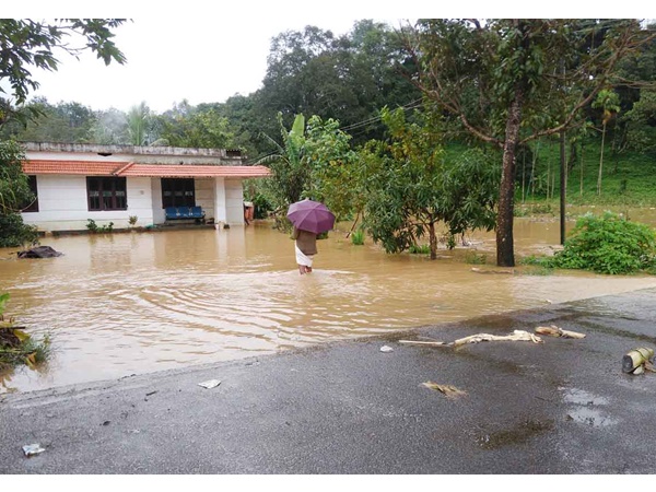 വെള്ളം കയറിയ കിണറുകള്‍