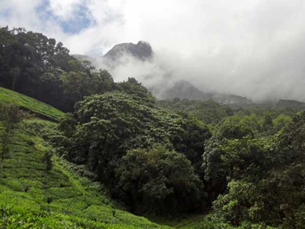 ഗാഡ്ഗില് കമ്മിറ്റി ഗാഡ്ഗില് കമ്മിറ്റി
