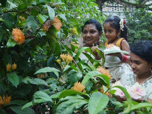 പൂപെറുക്കാന്‍ പോരുന്നോ 